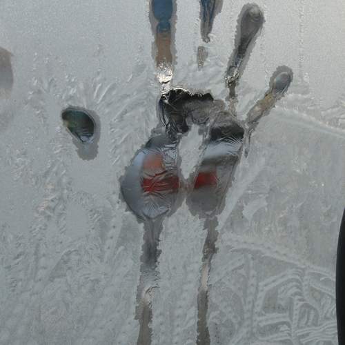 Photo #13095245