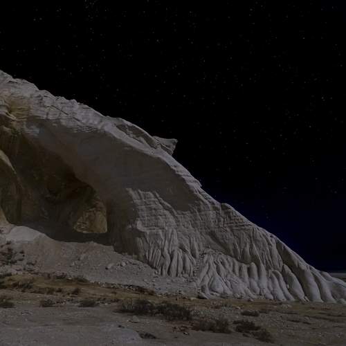 Голова лошади при лунном свете