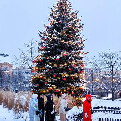 Photo #13095507