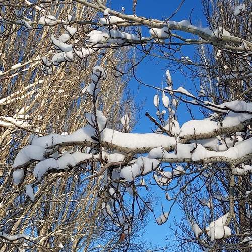 Photo #13095527