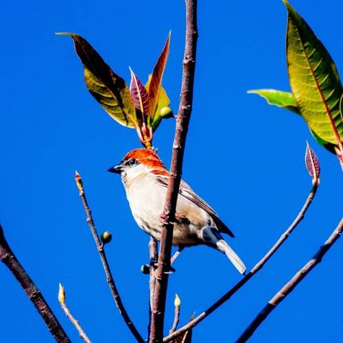 Photo #13095607