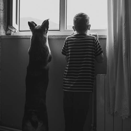 Photo #13095795