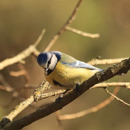 Photo #13095843