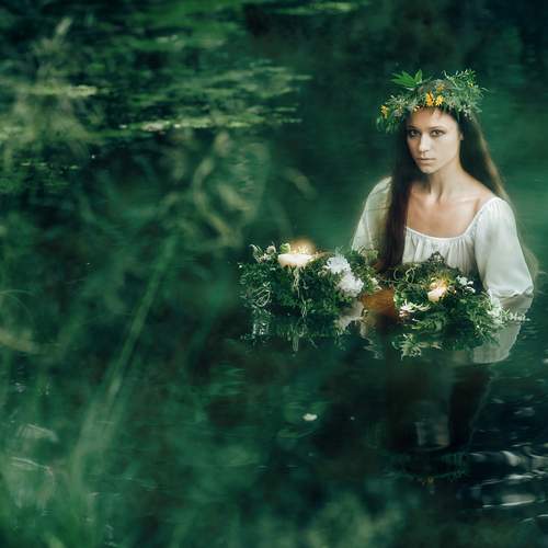 Photo #13095963