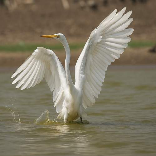 Photo #13095996
