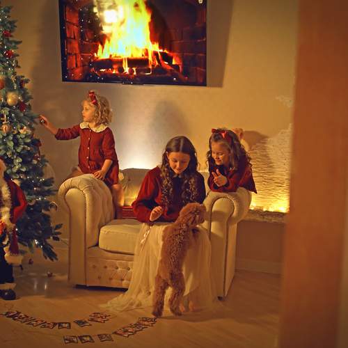 Photo #13096066