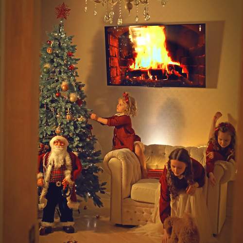 Photo #13096067