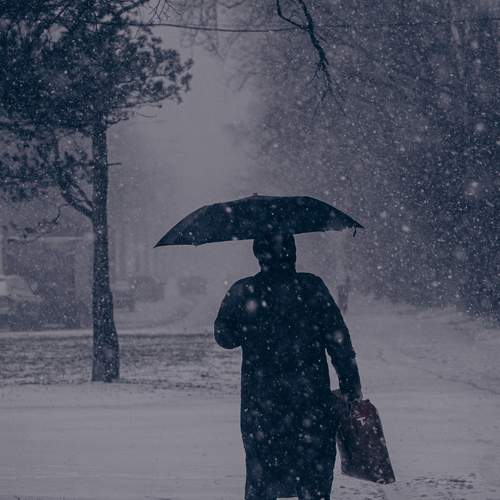 Photo #13096088