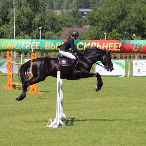 Photo #13096143