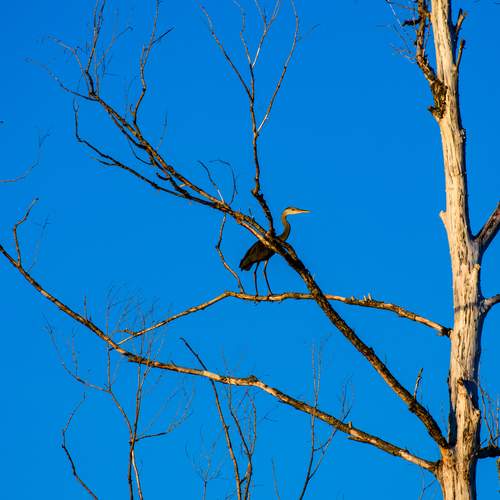 Photo #13096294