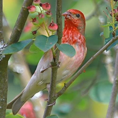 Photo #13096307