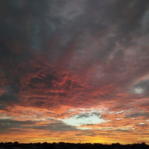 Photo #13096674