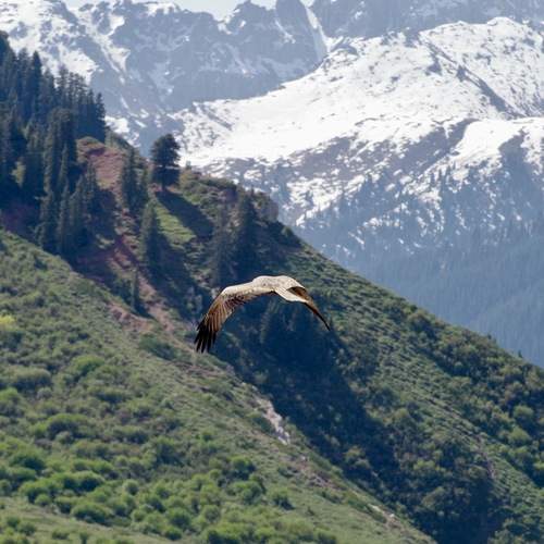 Photo #13096714