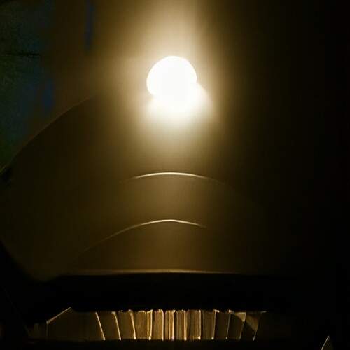 Photo #13096736
