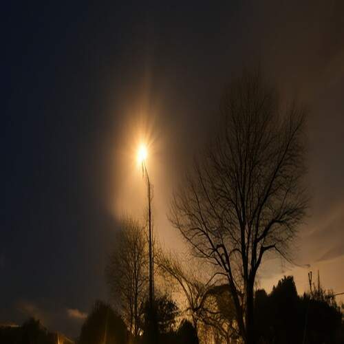 Photo #13096737