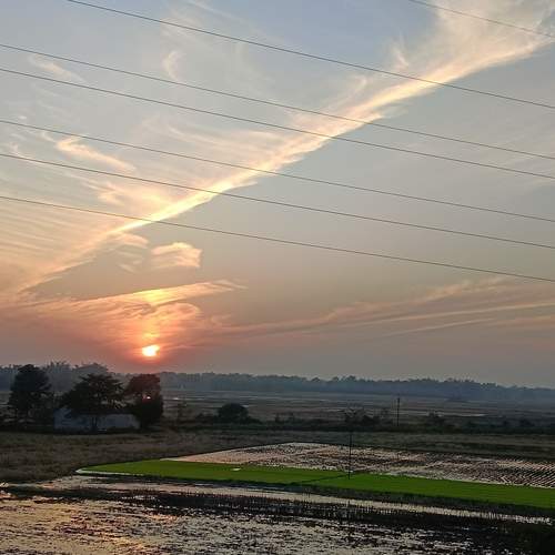 Photo #13096817