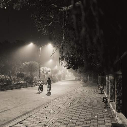 Photo #13096821