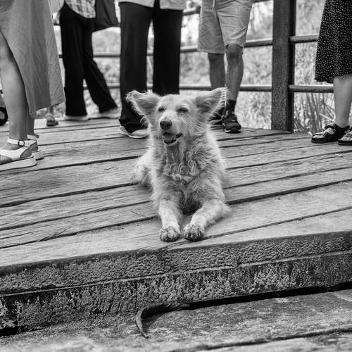 Photo #13096903