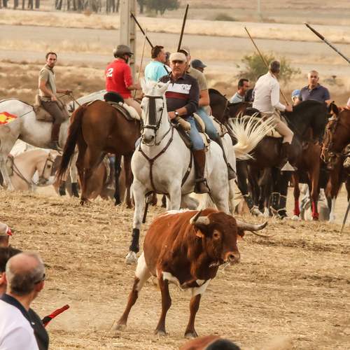 Photo #13096908