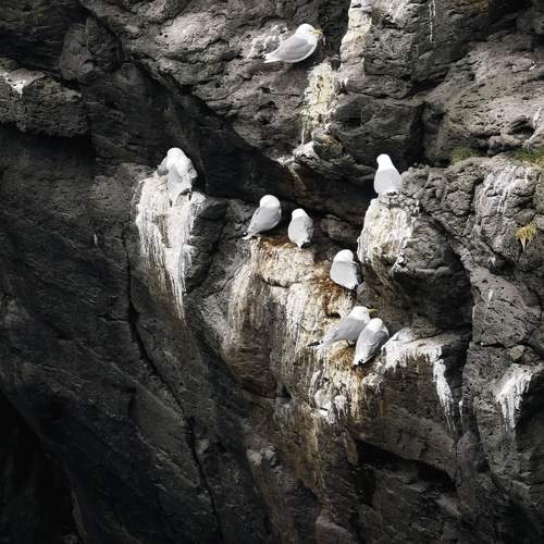 Photo #13096973