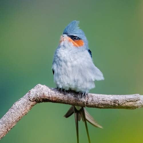 Фотография #13097239