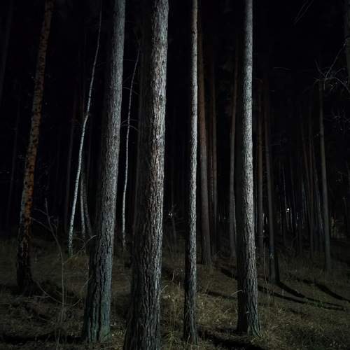Photo #13097256