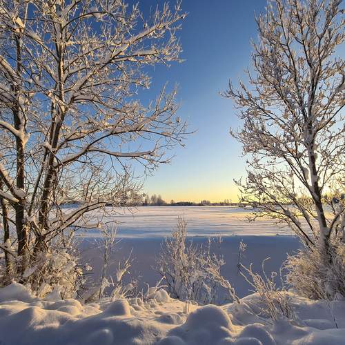 Photo #13097414