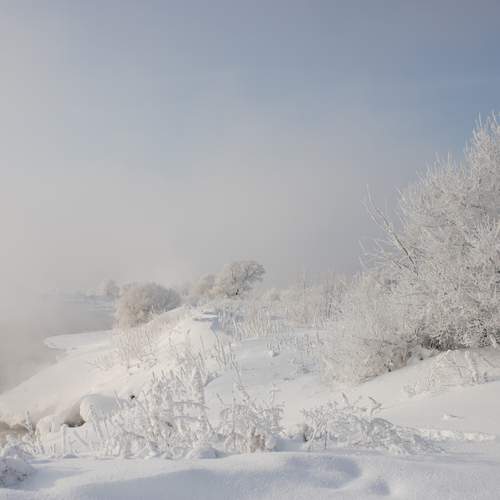 Photo #13097418