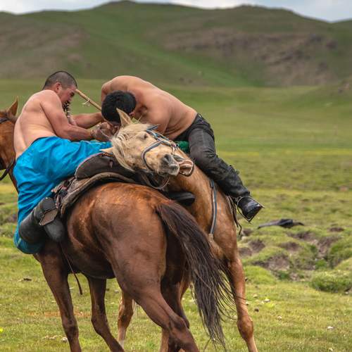 Photo #13097610