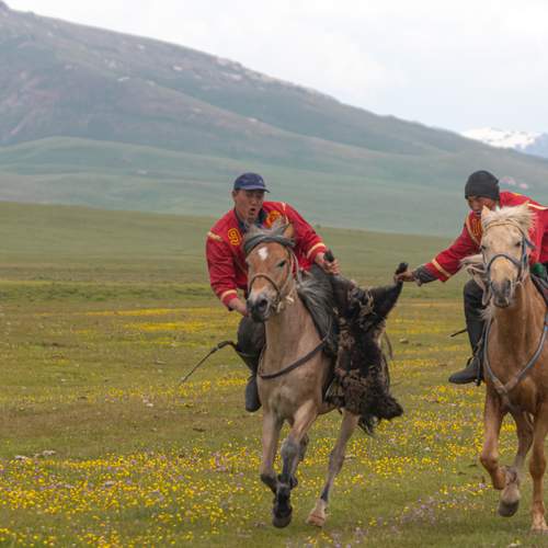 Photo #13097611