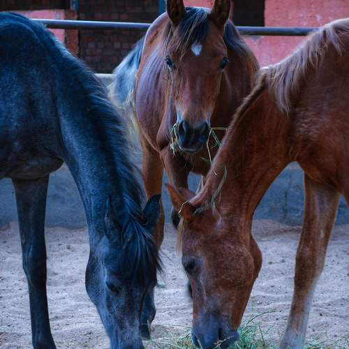 Photo #13097617