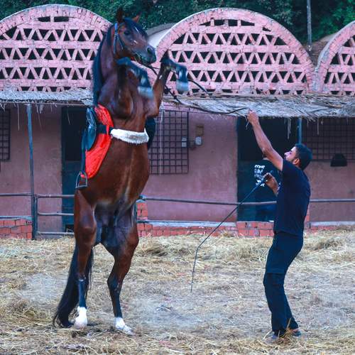 Photo #13097644