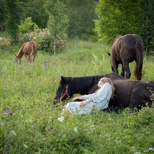 Photo #13097702