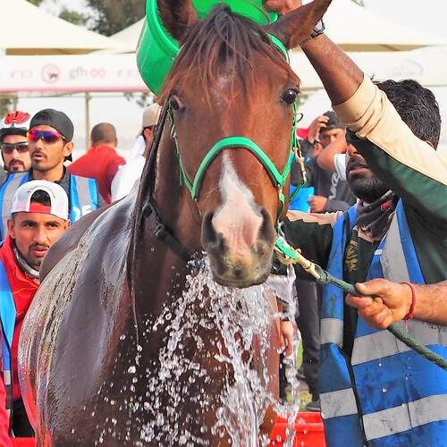 Photo #13097789