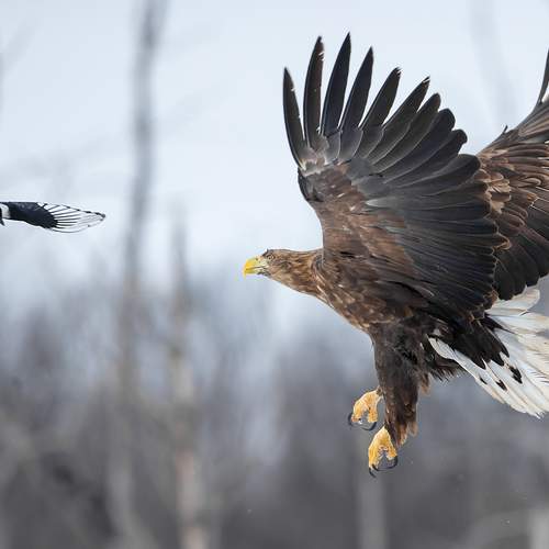 Фотография #13097809