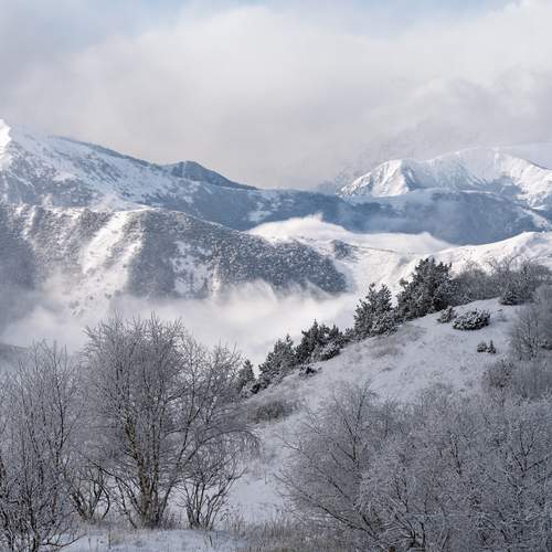 Фотография #13097886