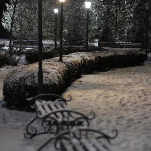Photo #13097905