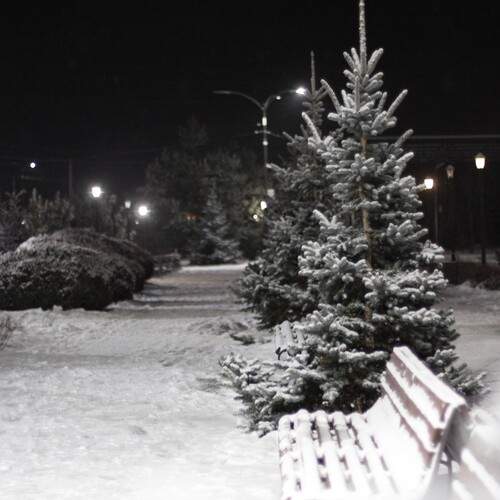 Photo #13097906