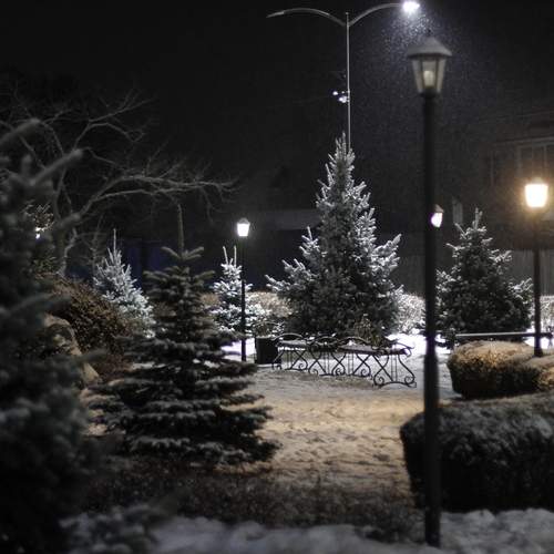 Photo #13097907