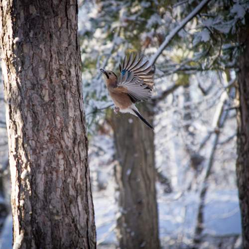 Фотография #13097930