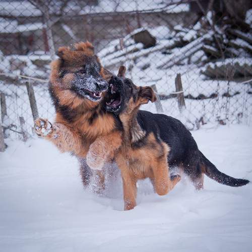Photo #13097947