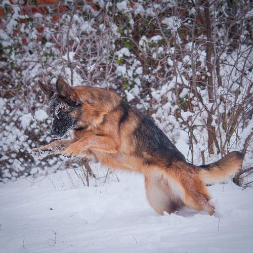 Photo #13097951