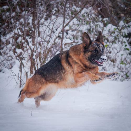 Photo #13097952
