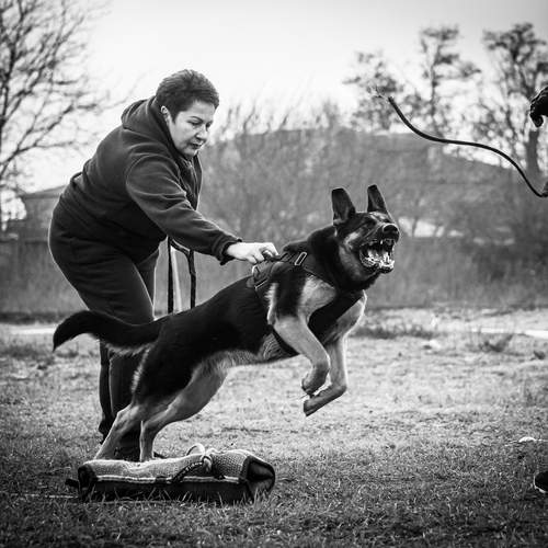 Фотография #13097992