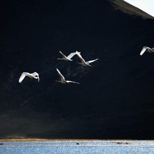 Photo #13098094