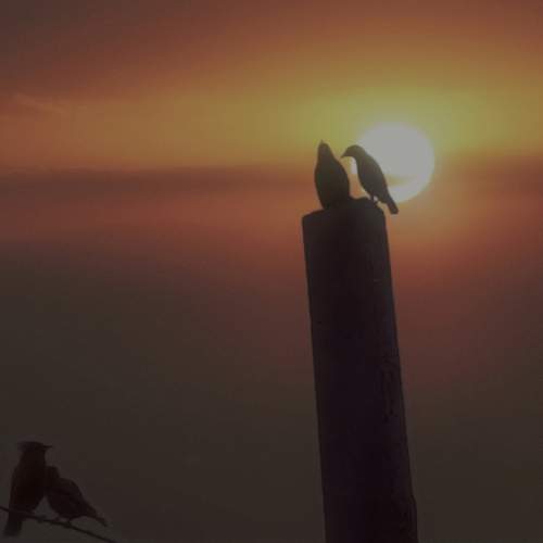 Photo #13098209
