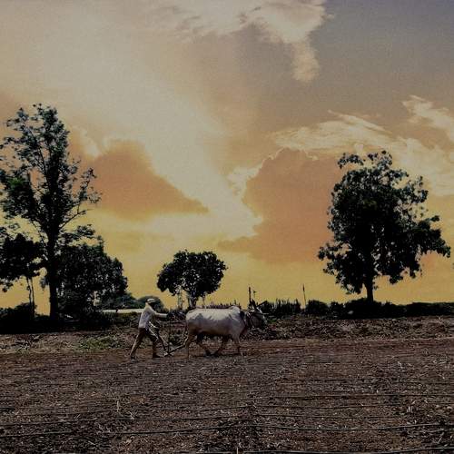 Photo #13098210