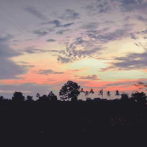 Photo #13098219