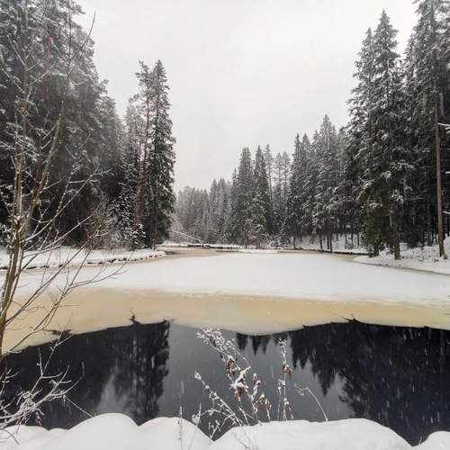 Photo #13098231