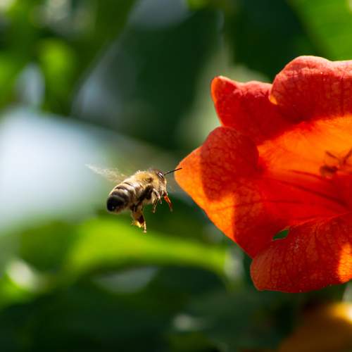 Photo #13098239